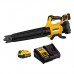 1.1. DEWALT DCMBL562P1 ღერძულა ჰაერის დამბერი (18 V) 